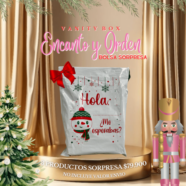 ENCANTO Y ORDEN BOLSA SORPRESA